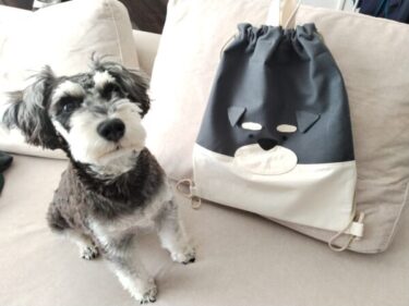 ミニチュアシュナウザーナップサックの作り方