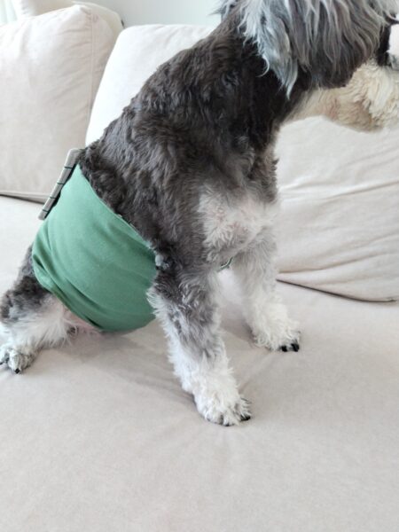 ぽっちゃりちゃんでも安心！犬用おむつカバー（オス）の作り方