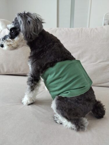 ぽっちゃりちゃんでも安心！犬用おむつカバー（オス）の作り方